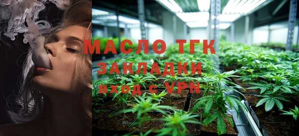 дживик Володарск