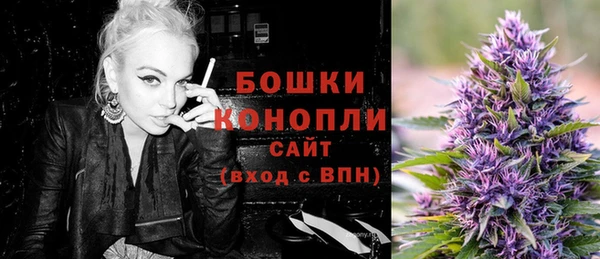 сатива Протвино