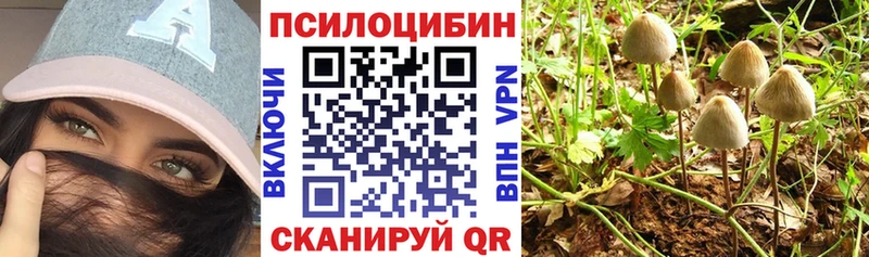 Галлюциногенные грибы GOLDEN TEACHER OMG ONION Волоколамск наркотики