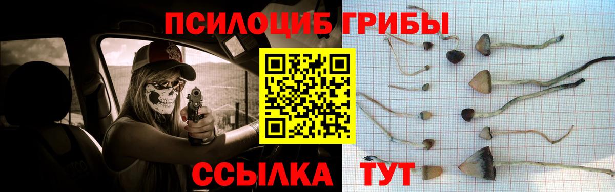 Галлюциногенные грибы прущие грибы  Вход с VPN  Волоколамск 